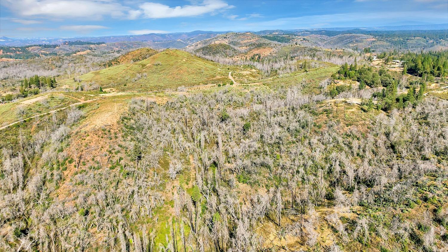 2 Baker Riley, Mountain Ranch, California 95246, ,Land,For Sale,Baker Riley,202303432