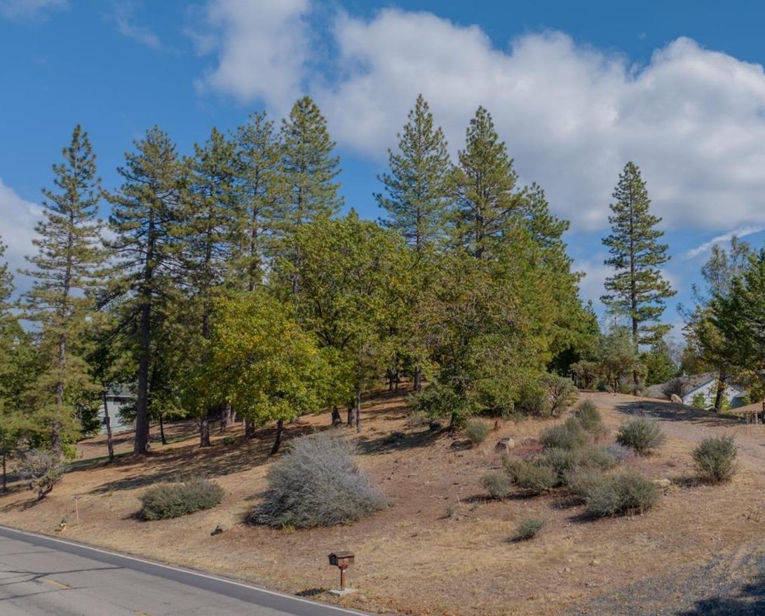 323 Forest Meadows Drive, Murphys, California 95247, ,Land,For Sale,Forest Meadows,202303351