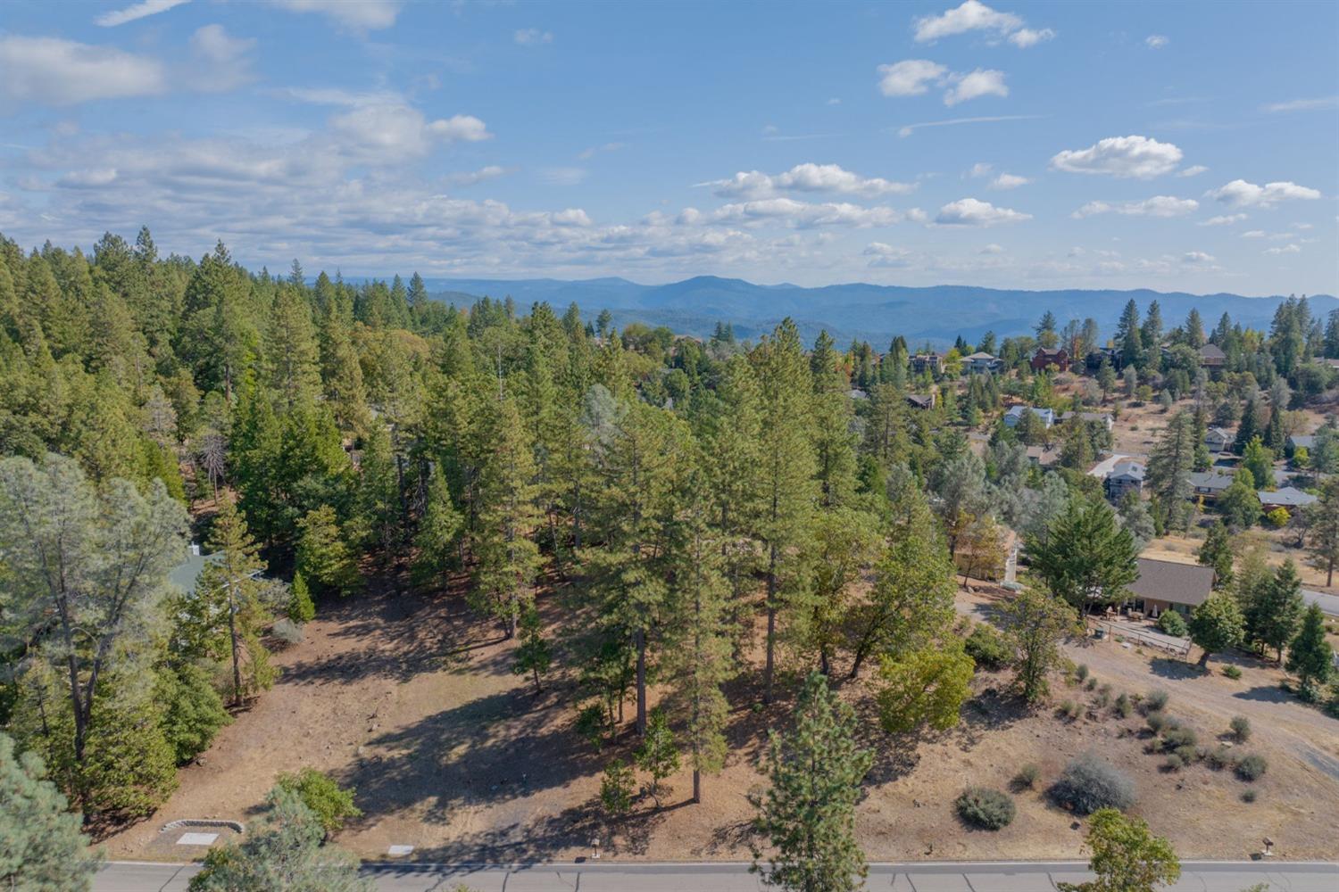 323 Forest Meadows Drive, Murphys, California 95247, ,Land,For Sale,Forest Meadows,202303351