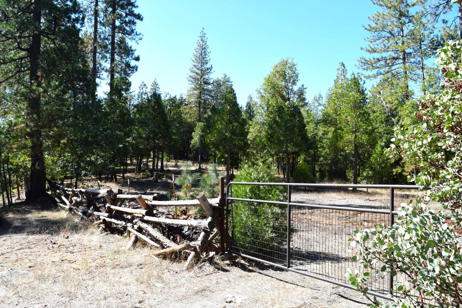 0 Confidence Road, Twain Harte, California 95383, ,Land,For Sale,Confidence,202303435