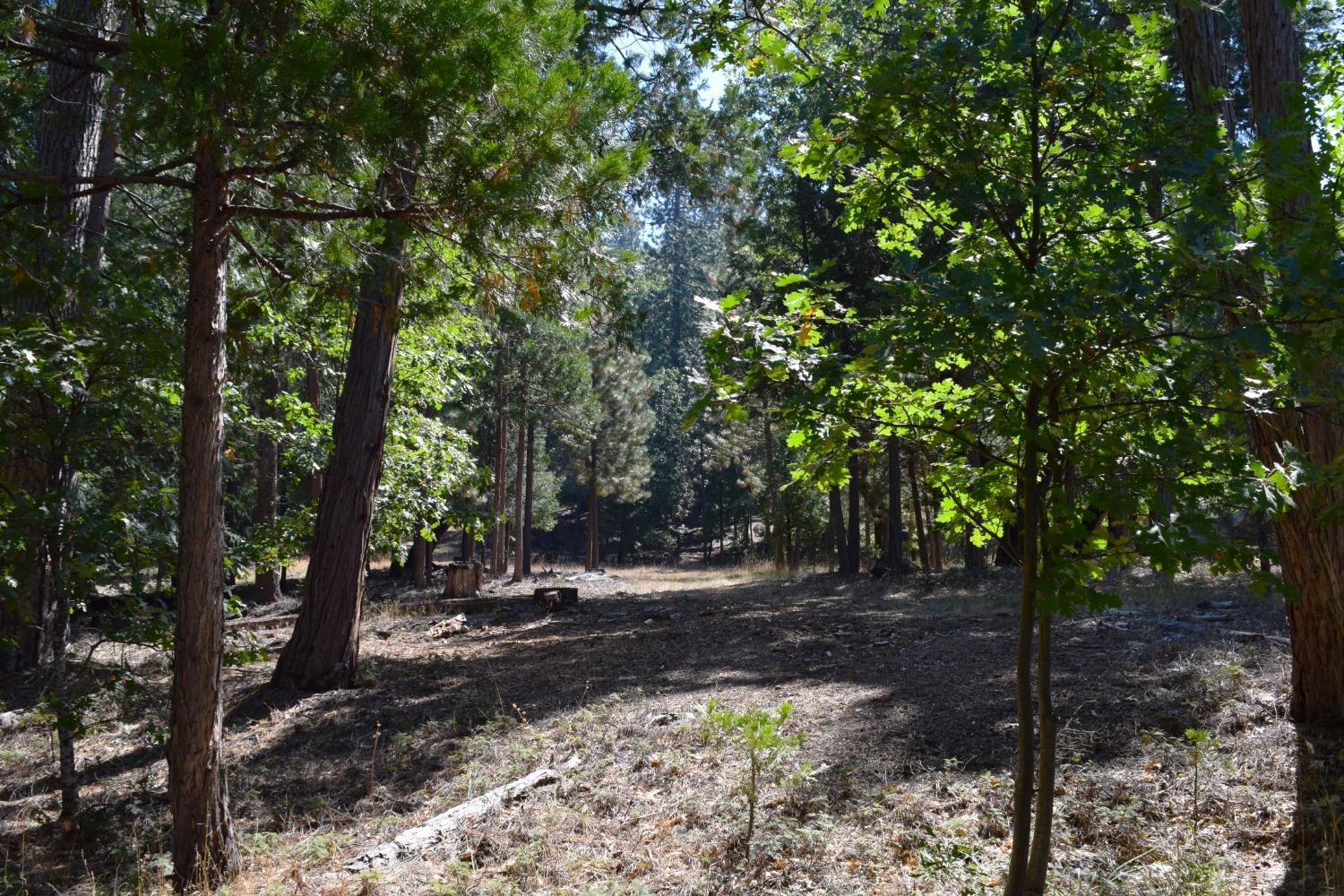 0 Confidence Road, Twain Harte, California 95383, ,Land,For Sale,Confidence,202303435