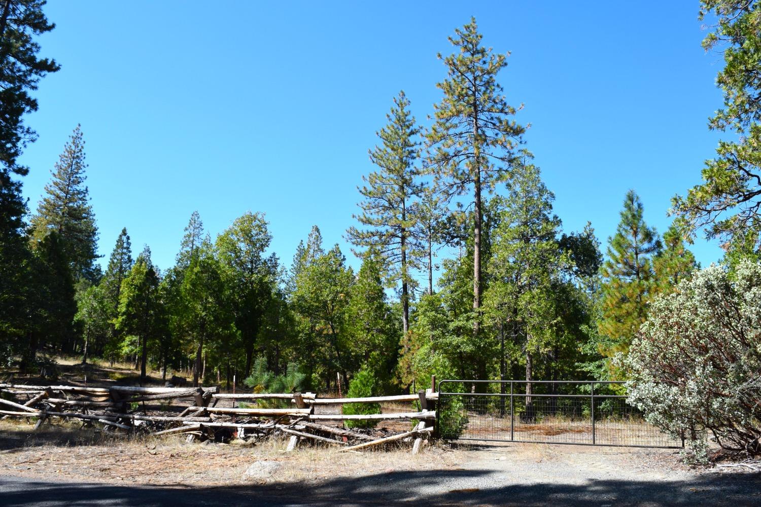 0 Confidence Road, Twain Harte, California 95383, ,Land,For Sale,Confidence,202303435