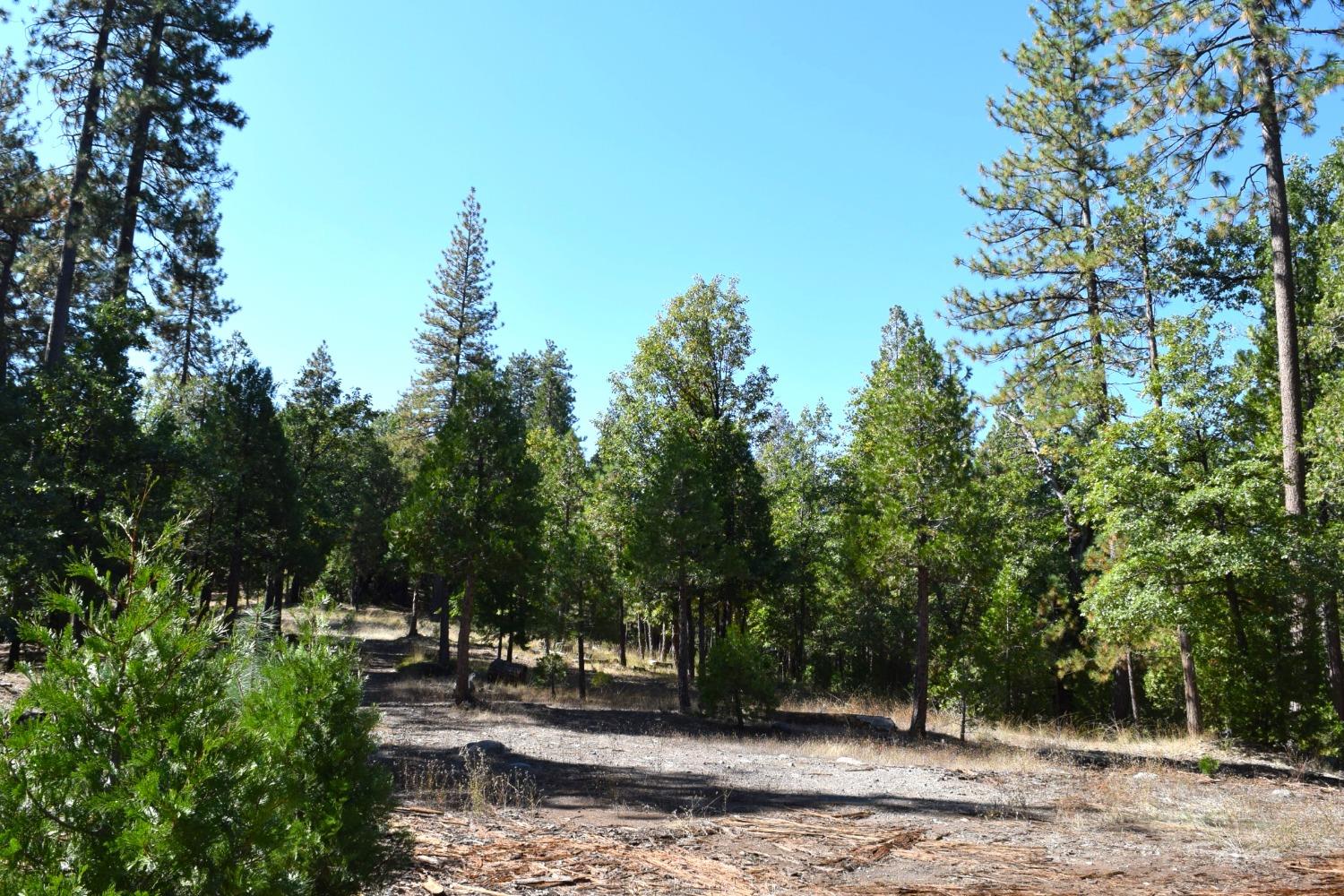 0 Confidence Road, Twain Harte, California 95383, ,Land,For Sale,Confidence,202303435