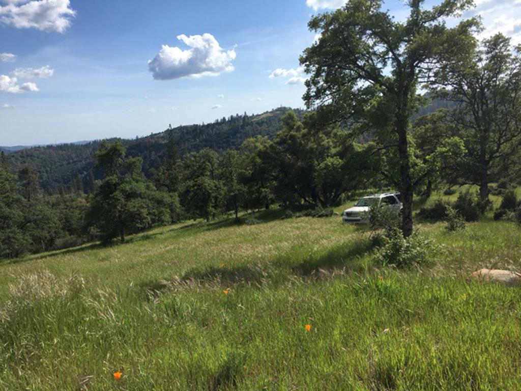 3 Pennsylvania Gulch, Murphys, California 95247, ,Land,For Sale,Pennsylvania Gulch,202303441