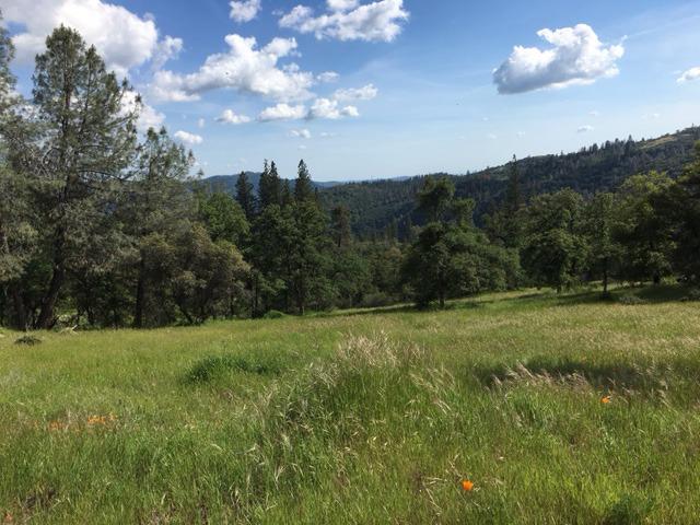 3 Pennsylvania Gulch, Murphys, California 95247, ,Land,For Sale,Pennsylvania Gulch,202303441