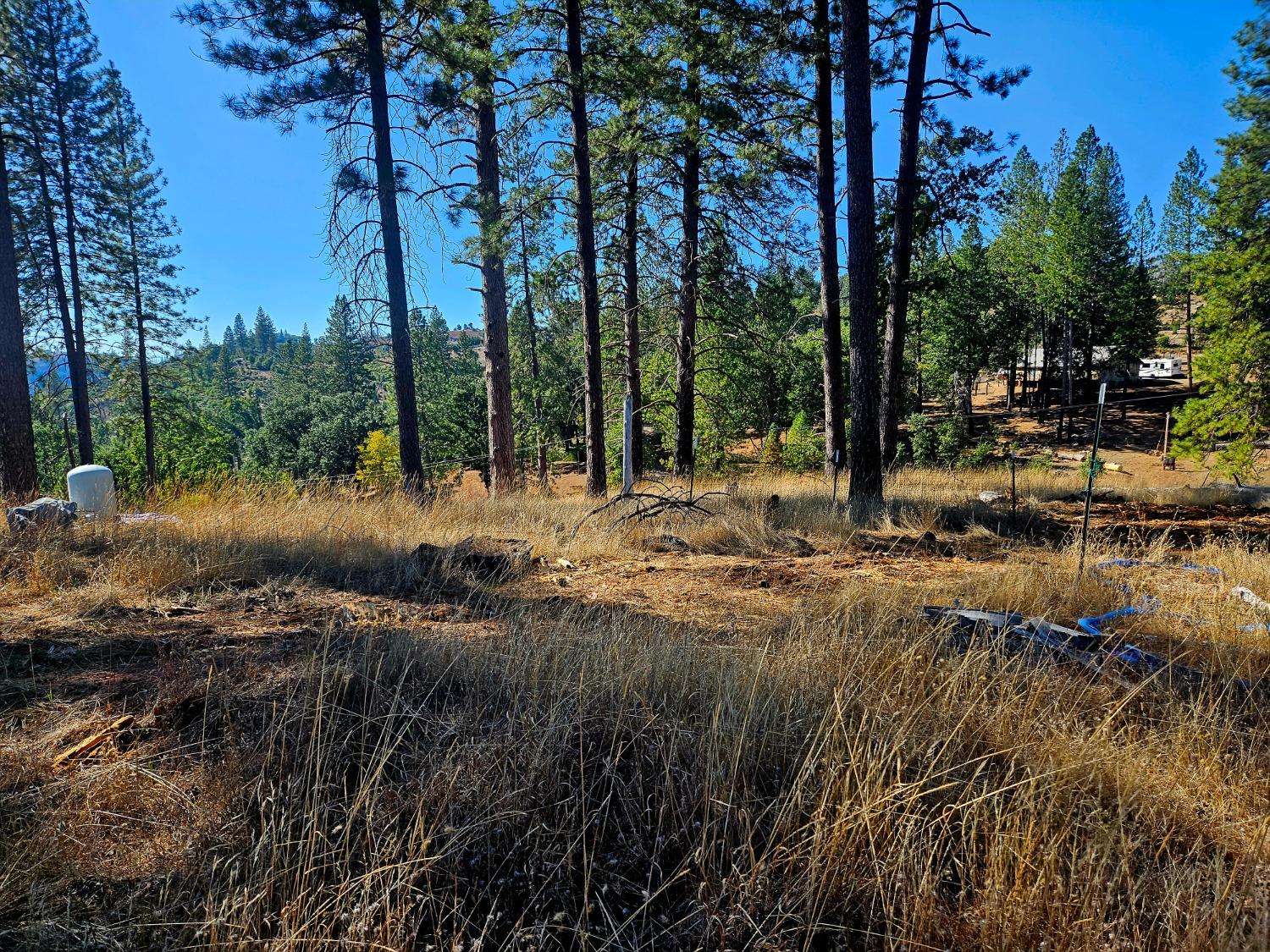 Capped well on left near entrance of property.