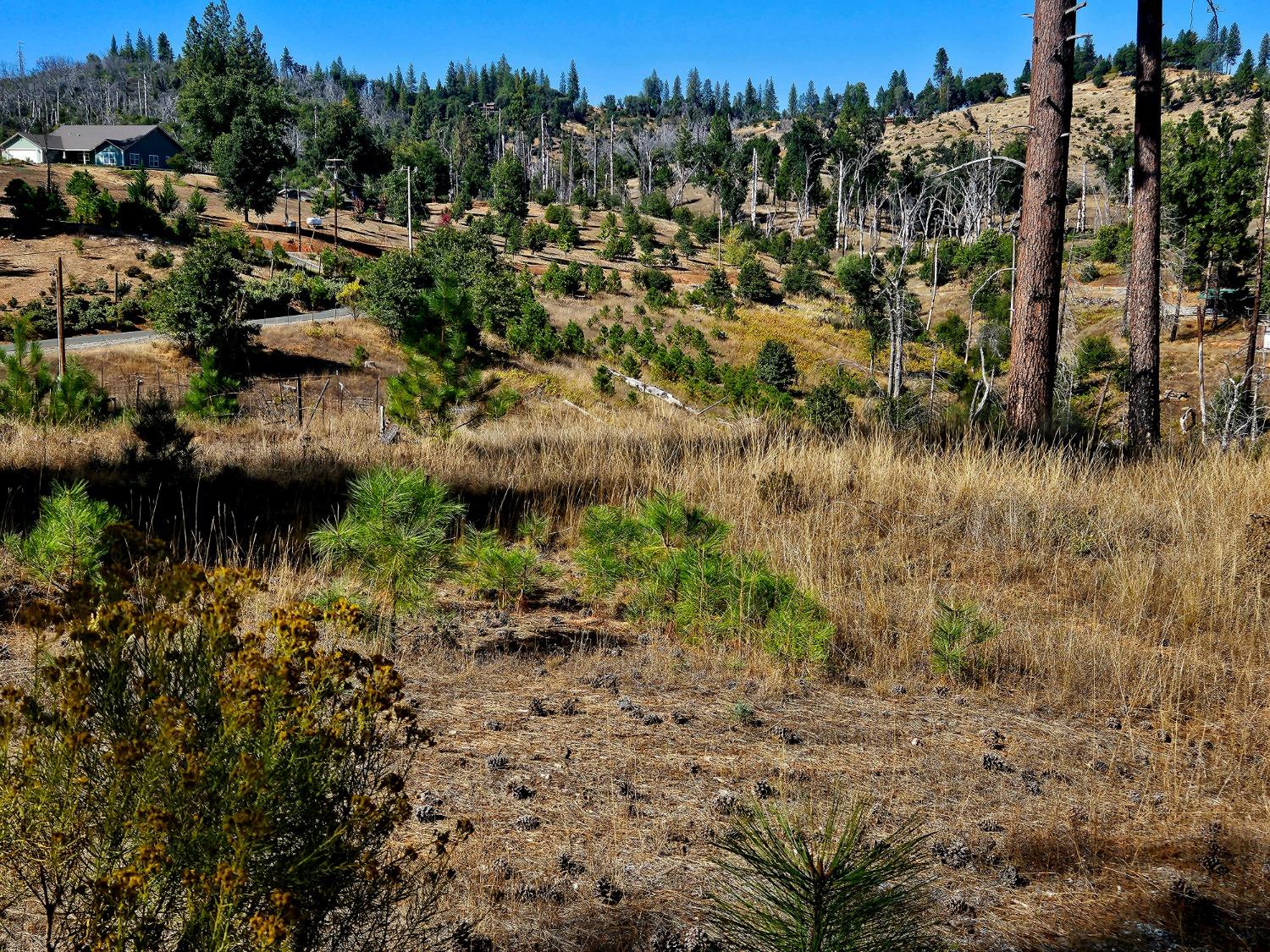 Property includes the ravine before the street is also included.