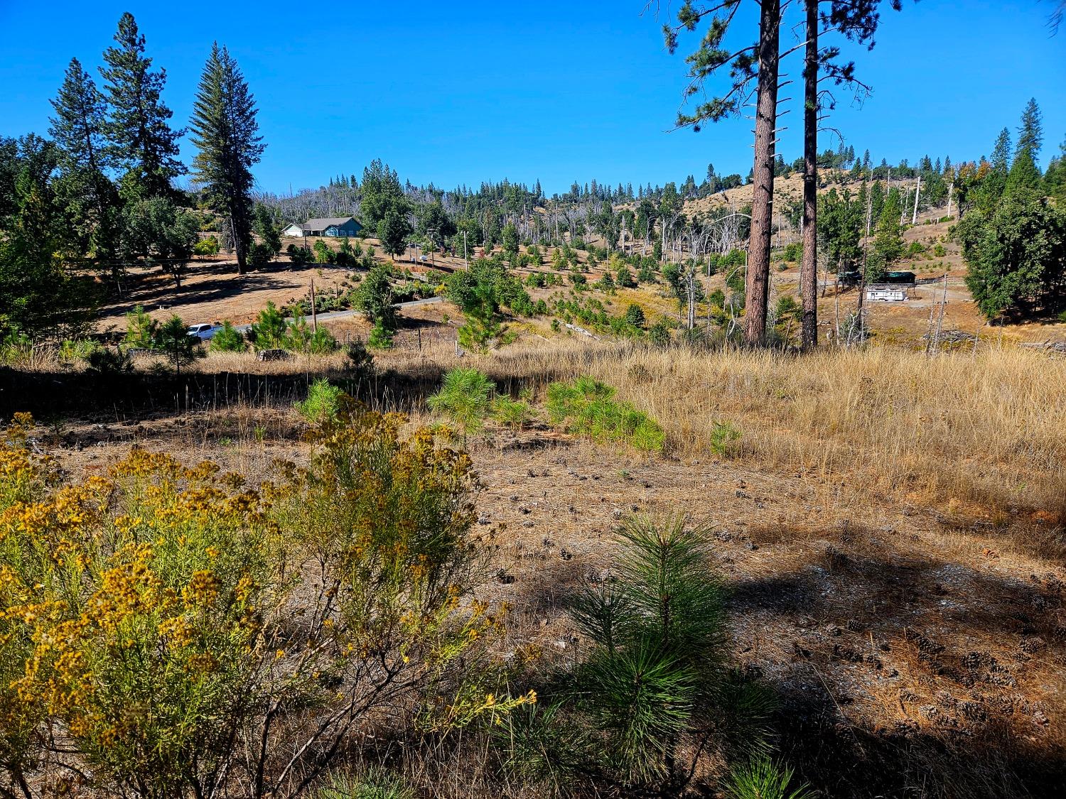 The ravine before the road is also included.