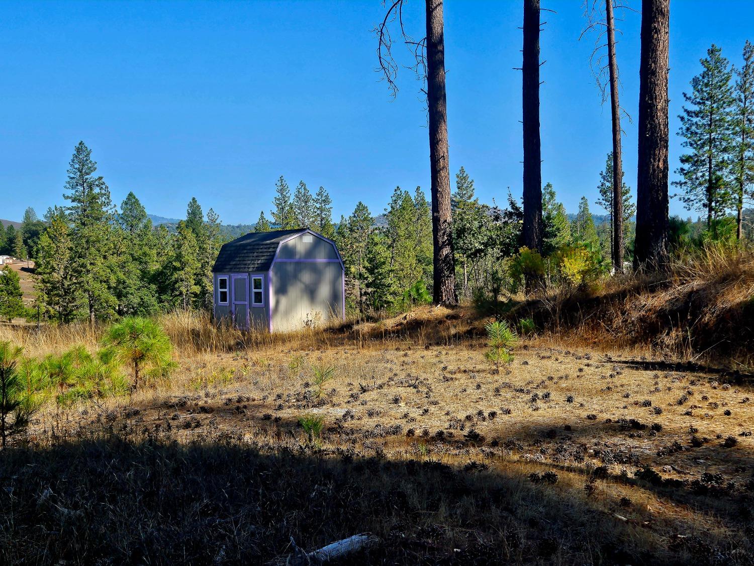 Shed on property