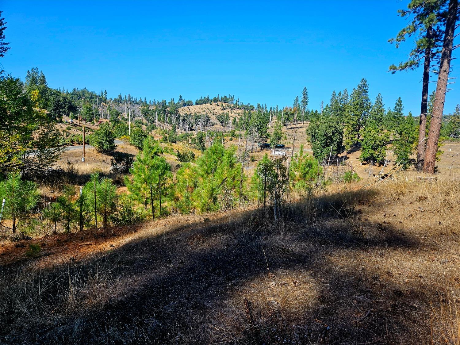 The ravine before the road is included.