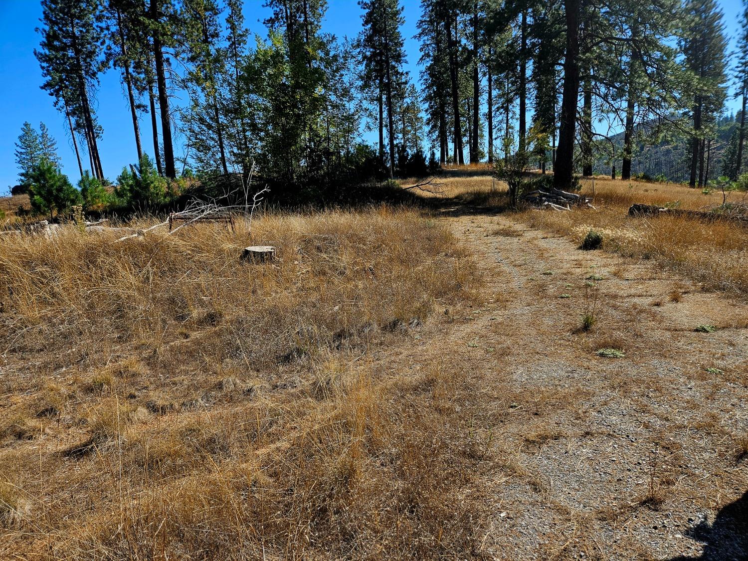 5417 Rustlers Pass, Mountain Ranch, California 95246, ,Land,For Sale,Rustlers Pass,202303442