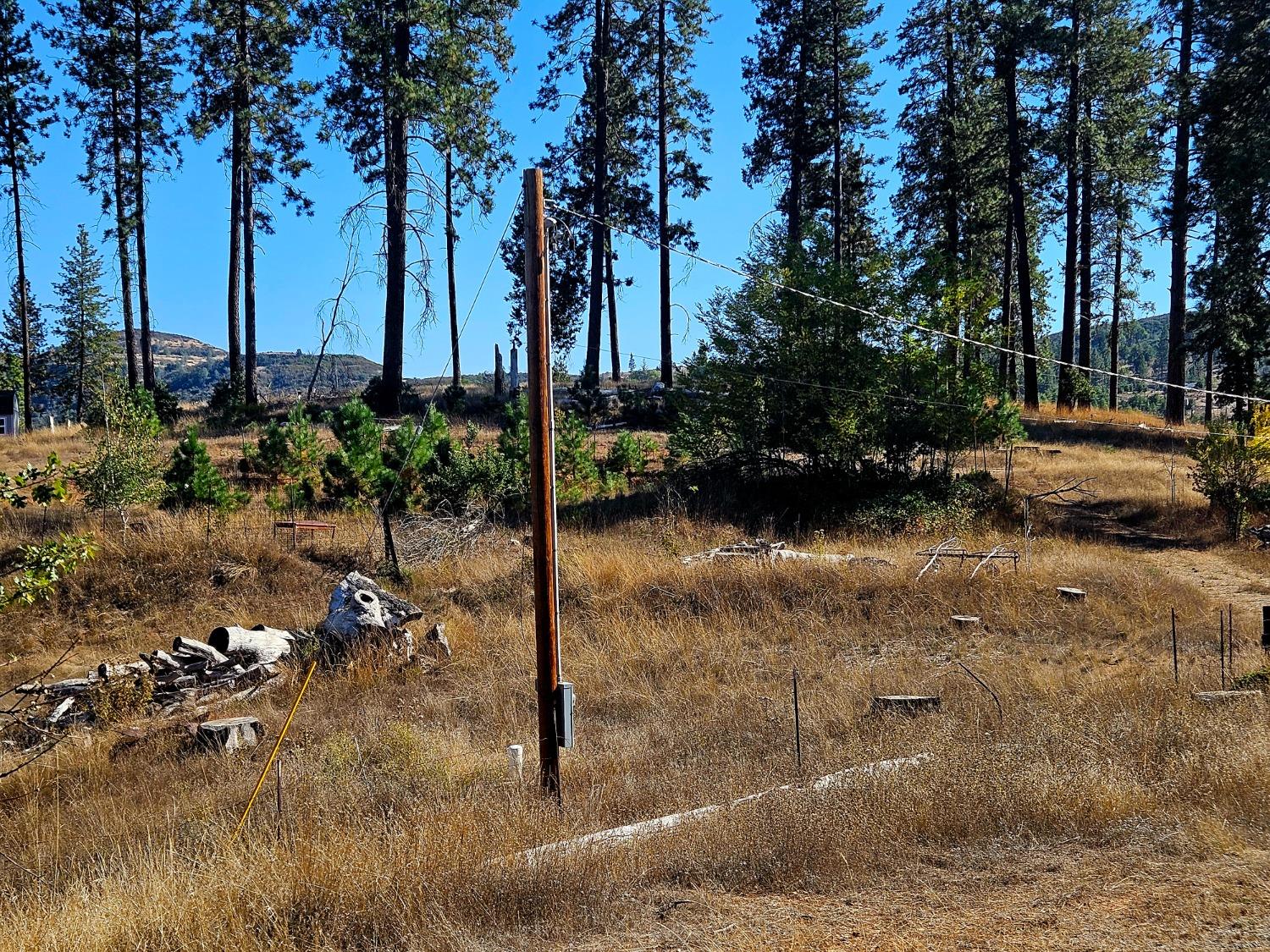 gently sloping property to flat area to build.