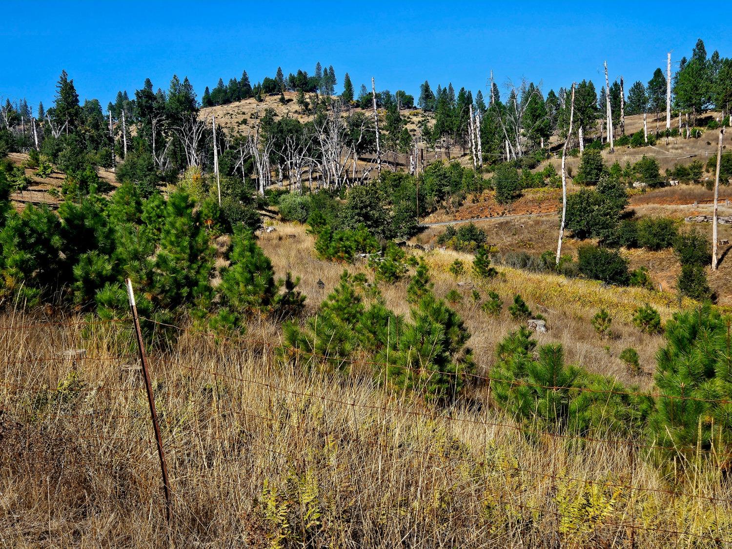 The property extends down the hill to near the road.