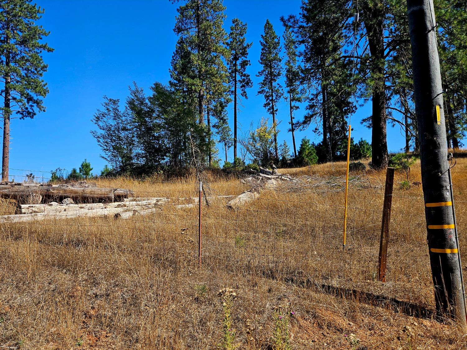 Photo is taken from Rustlers Pass on right of property if facing property. This shows the far right property boundary.