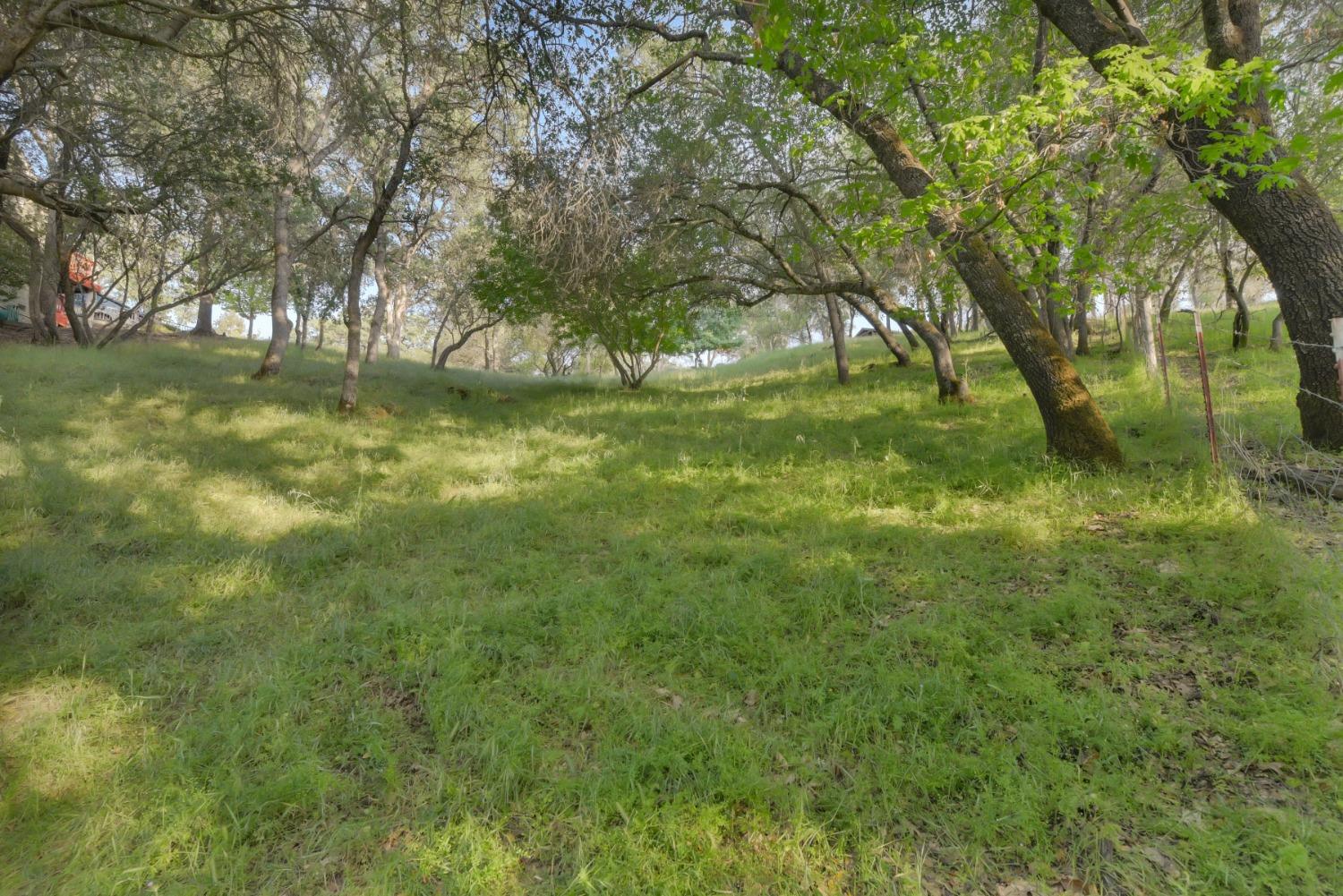 416 Albasio Court, Angels Camp, California 95222, ,Land,For Sale,Albasio Court,202303452