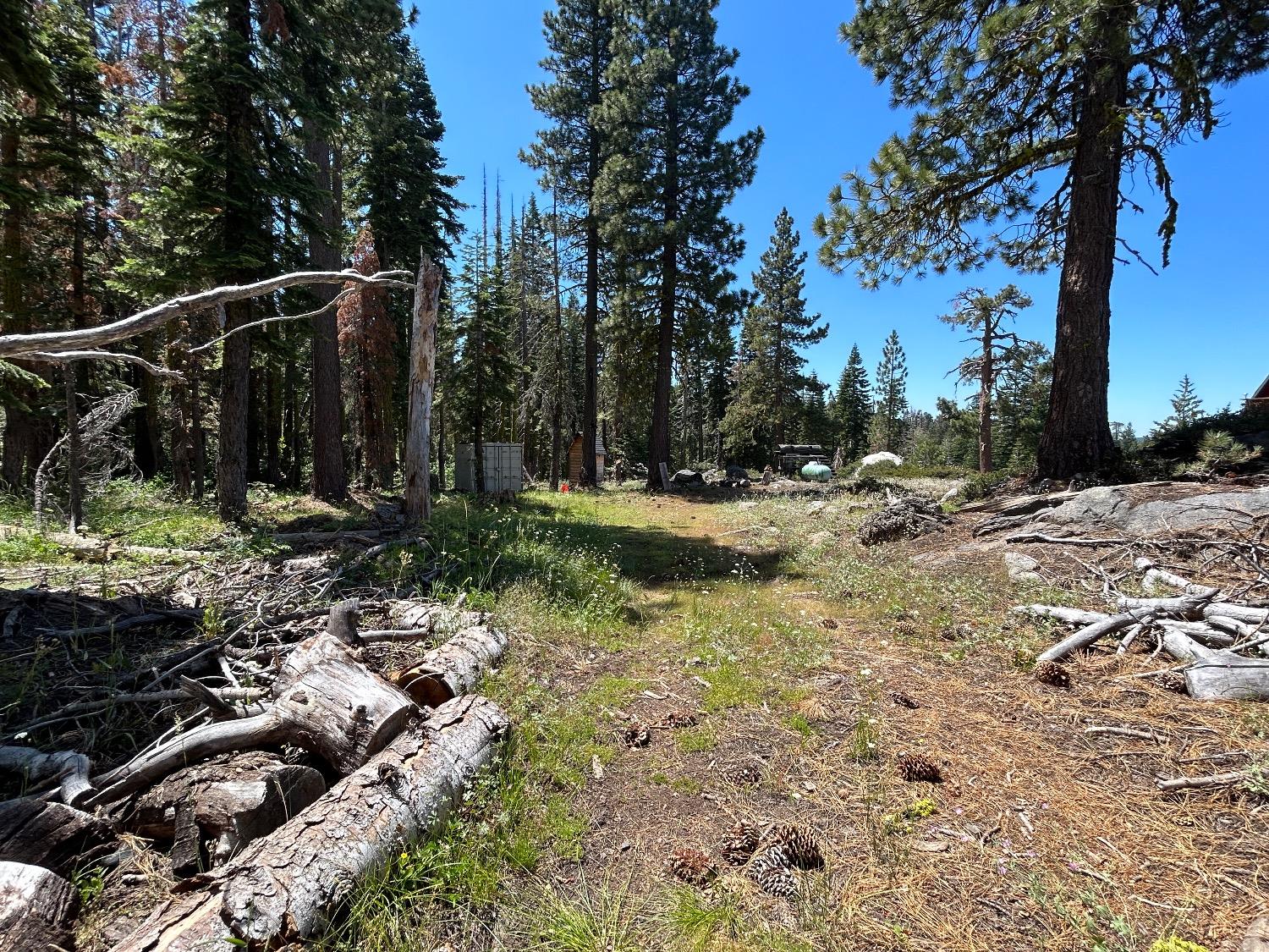 39550 Blue Rock Trail, Dorrington, California 95223, ,Land,For Sale,Blue Rock,202303451