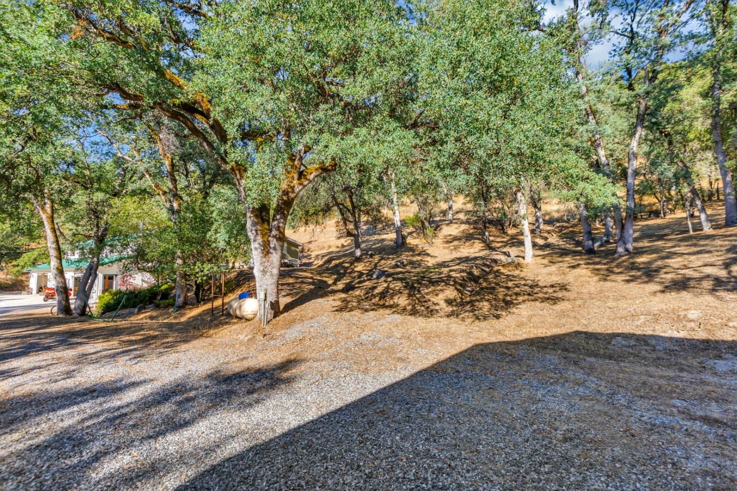 8531 Sheep Ranch Road, Mountain Ranch, California 95246, 2 Bedrooms Bedrooms, ,2 BathroomsBathrooms,Residential,For Sale,Sheep Ranch,202303464