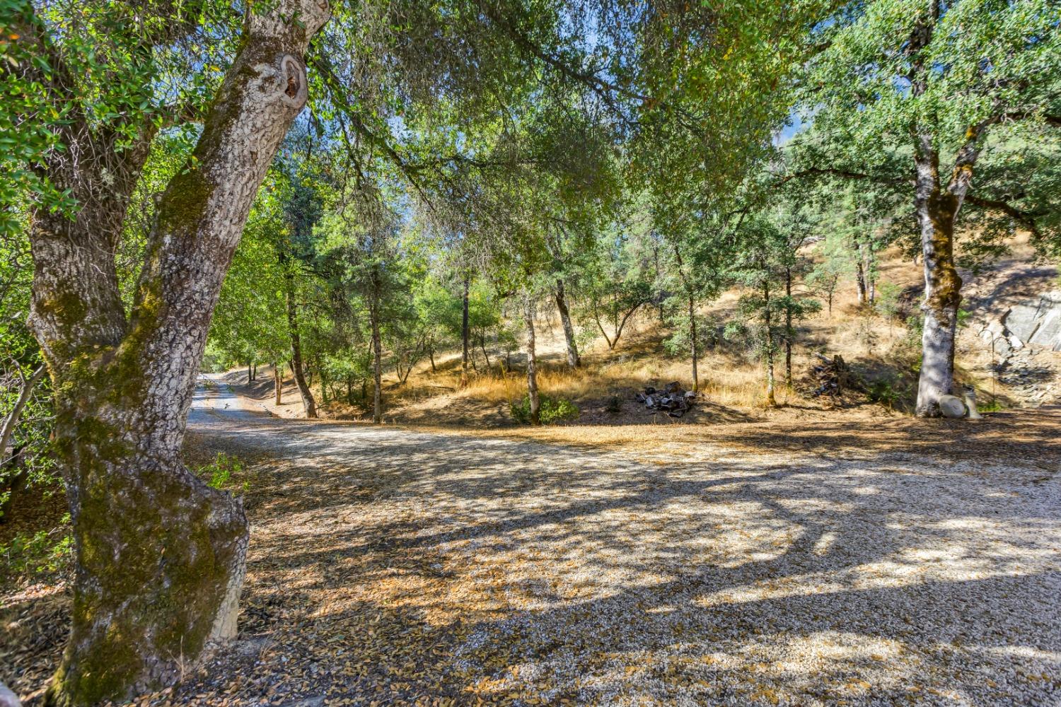 8531 Sheep Ranch Road, Mountain Ranch, California 95246, 2 Bedrooms Bedrooms, ,2 BathroomsBathrooms,Residential,For Sale,Sheep Ranch,202303464