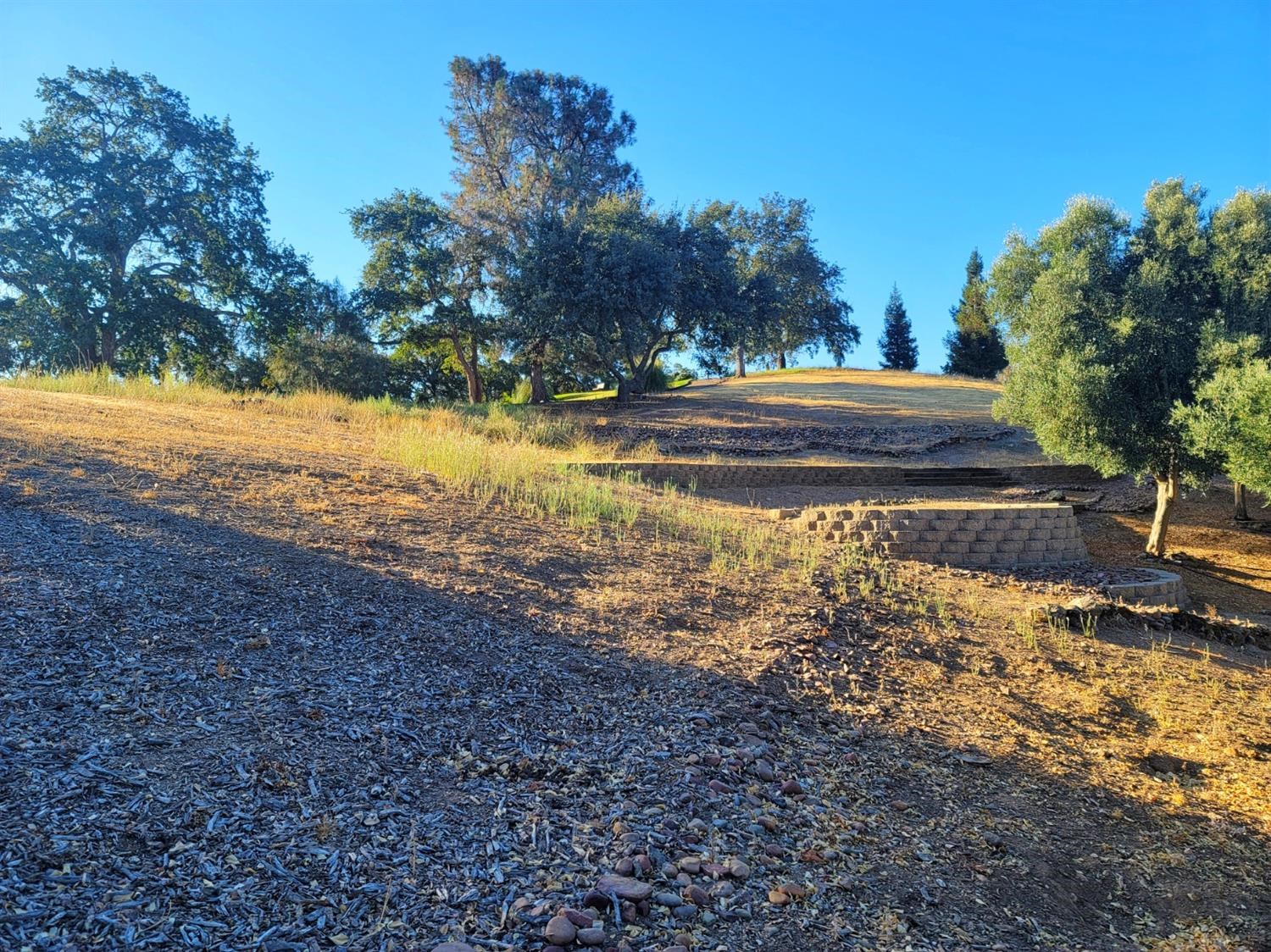 331 Augusta Court, Valley Springs, California 95252, ,Land,For Sale,Augusta,202303465