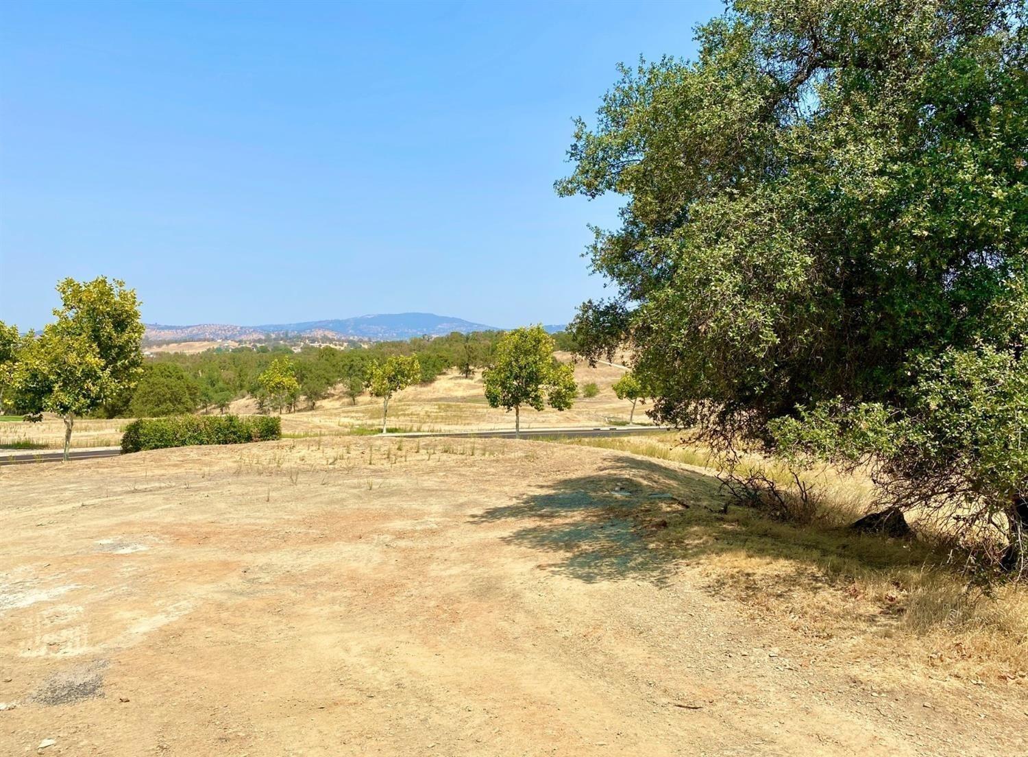 1771 Oak Creek Dr, Copperopolis, California 95228, ,Land,For Sale,Oak Creek Dr,202303470