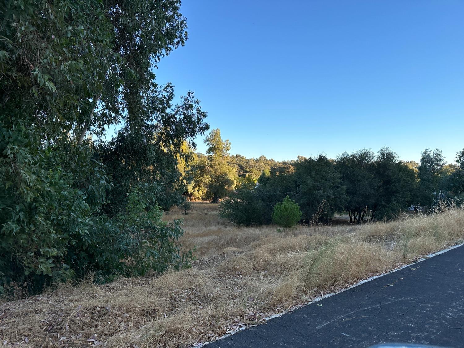 7829 Gabor Street, Valley Springs, California 95252, ,Land,For Sale,Gabor,202303479