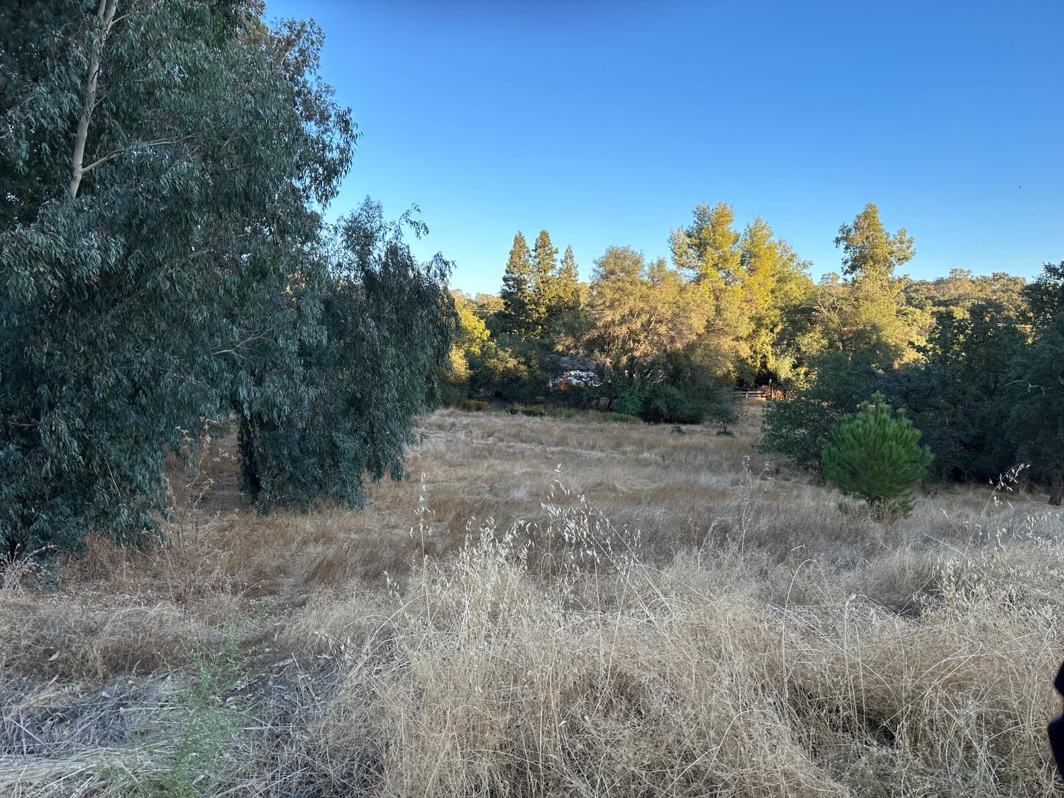 7829 Gabor Street, Valley Springs, California 95252, ,Land,For Sale,Gabor,202303479