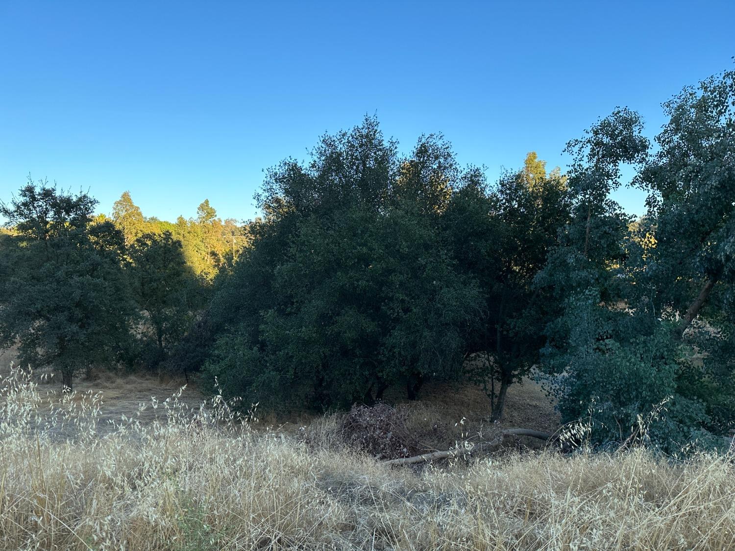 7829 Gabor Street, Valley Springs, California 95252, ,Land,For Sale,Gabor,202303479