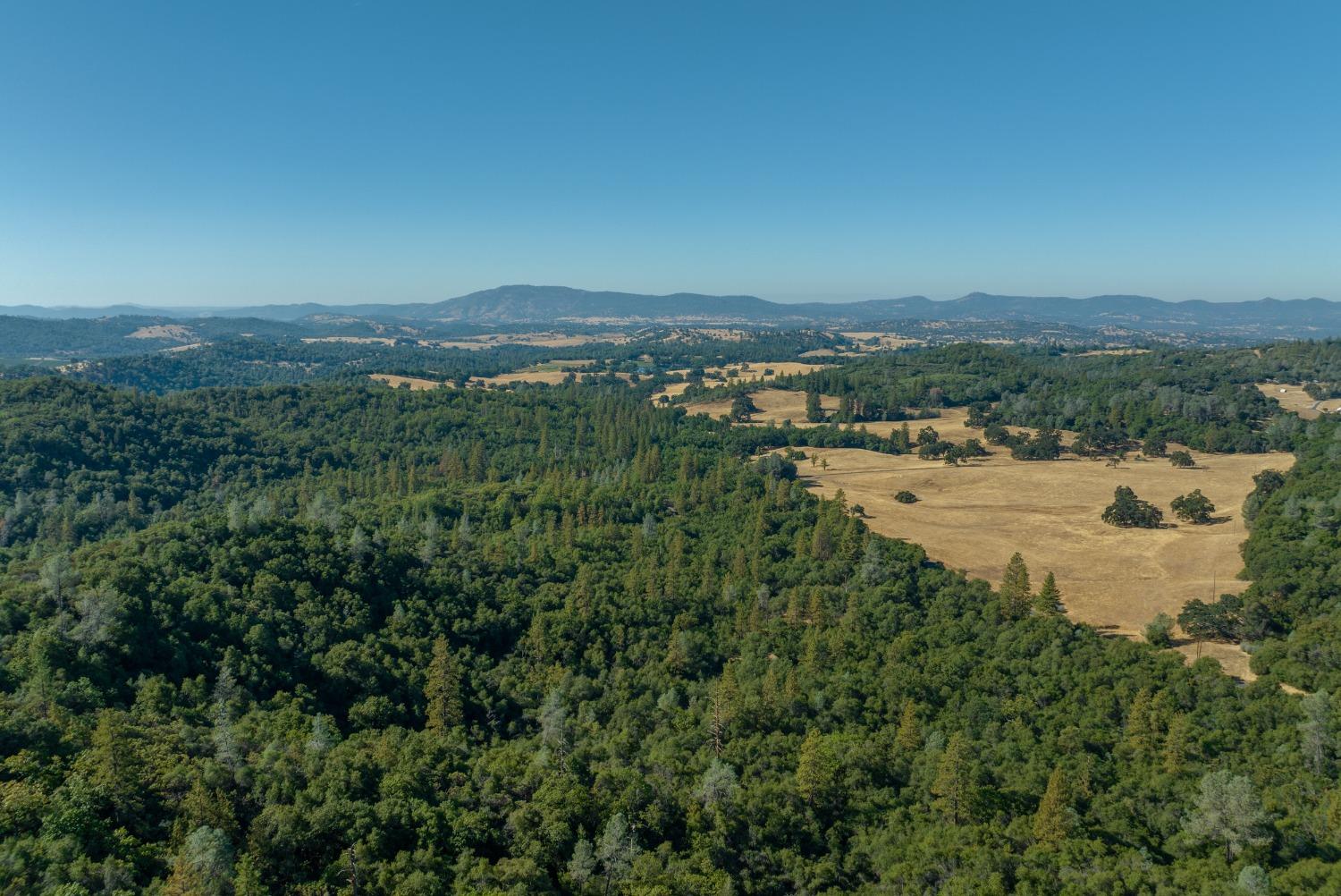 1765 French Gulch Road, Murphys, California 95247, ,Land,For Sale,French Gulch,202303476