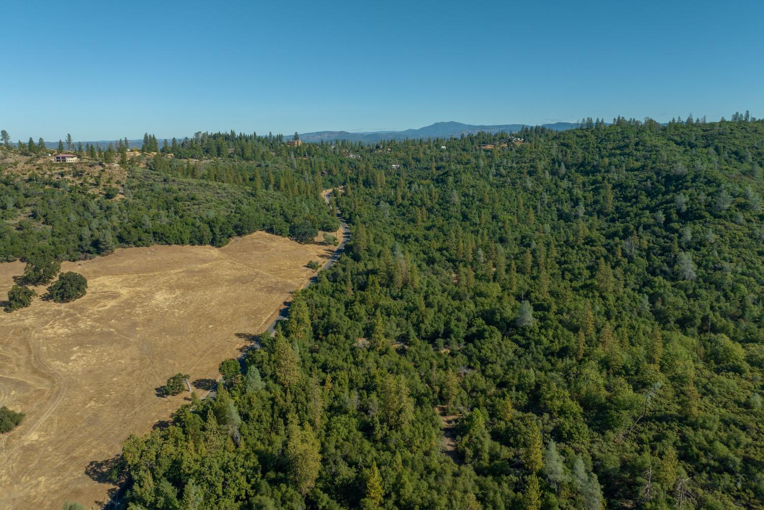 1765 French Gulch Road, Murphys, California 95247, ,Land,For Sale,French Gulch,202303476