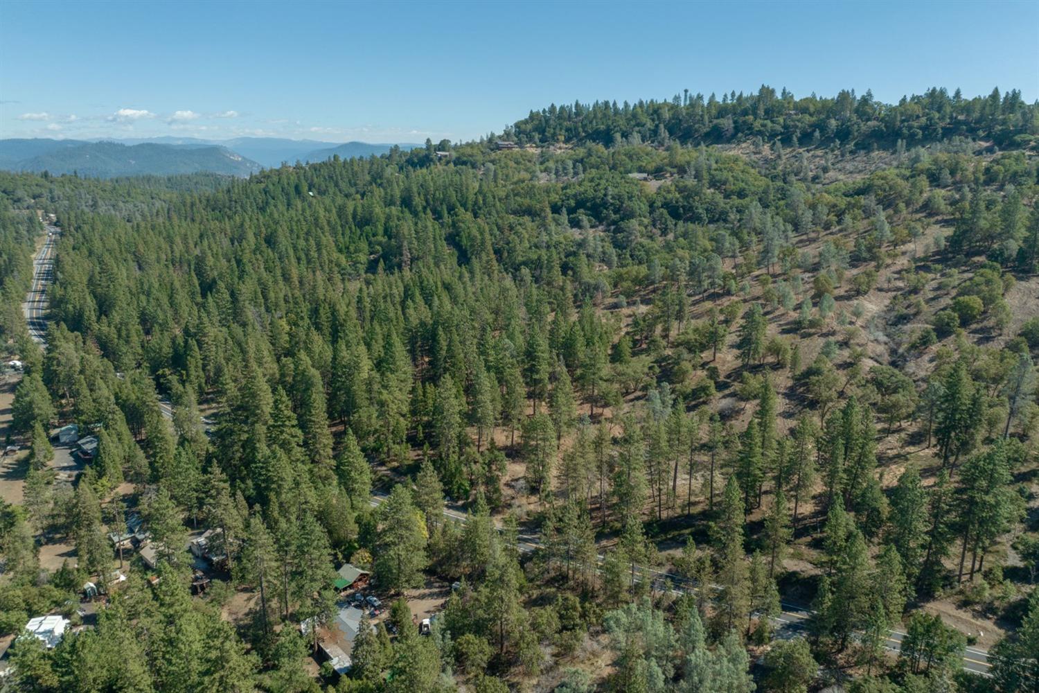 Front of Mostly Cleared Land above Hwy 4