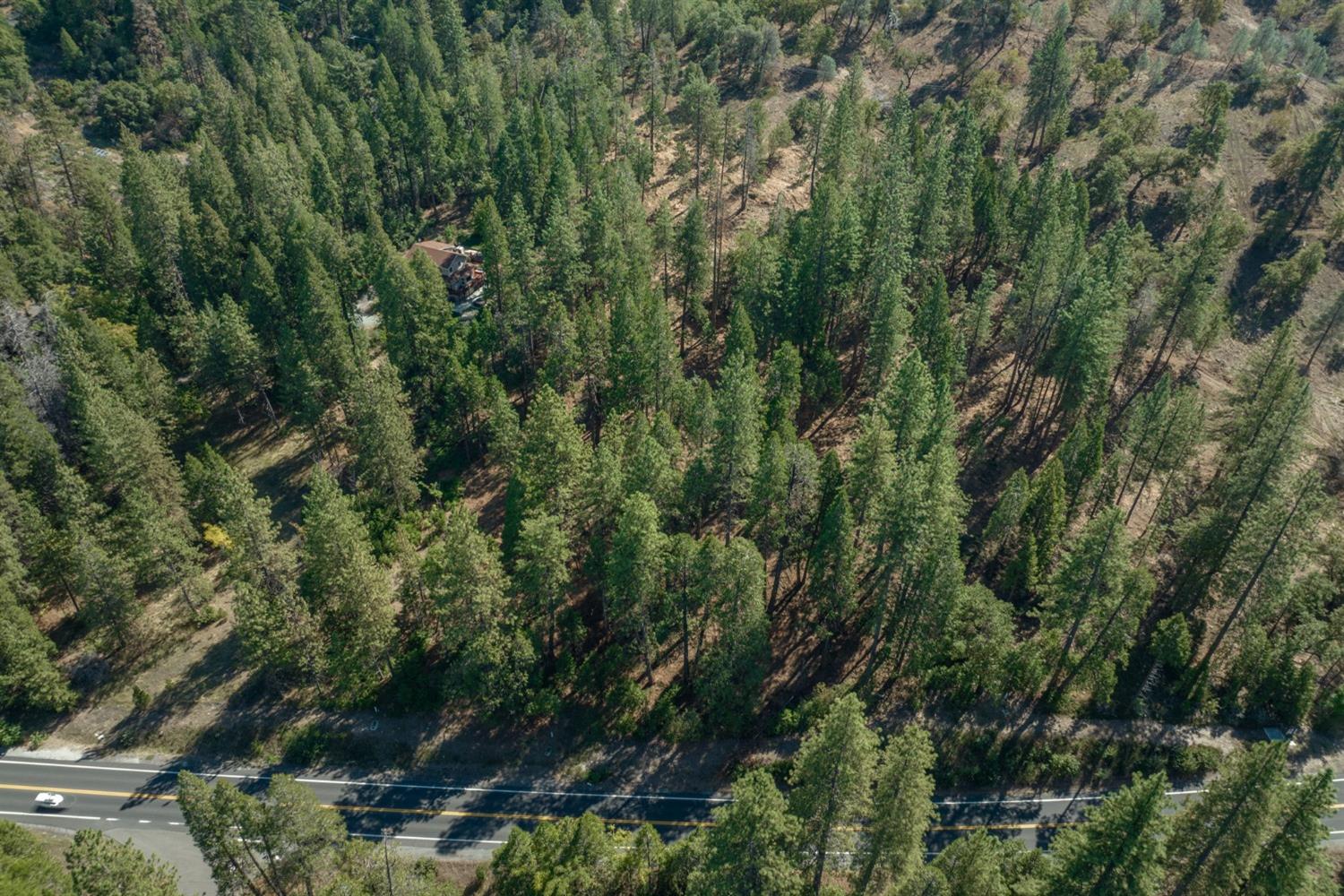 More of the Front of the Property Above Hwy 4