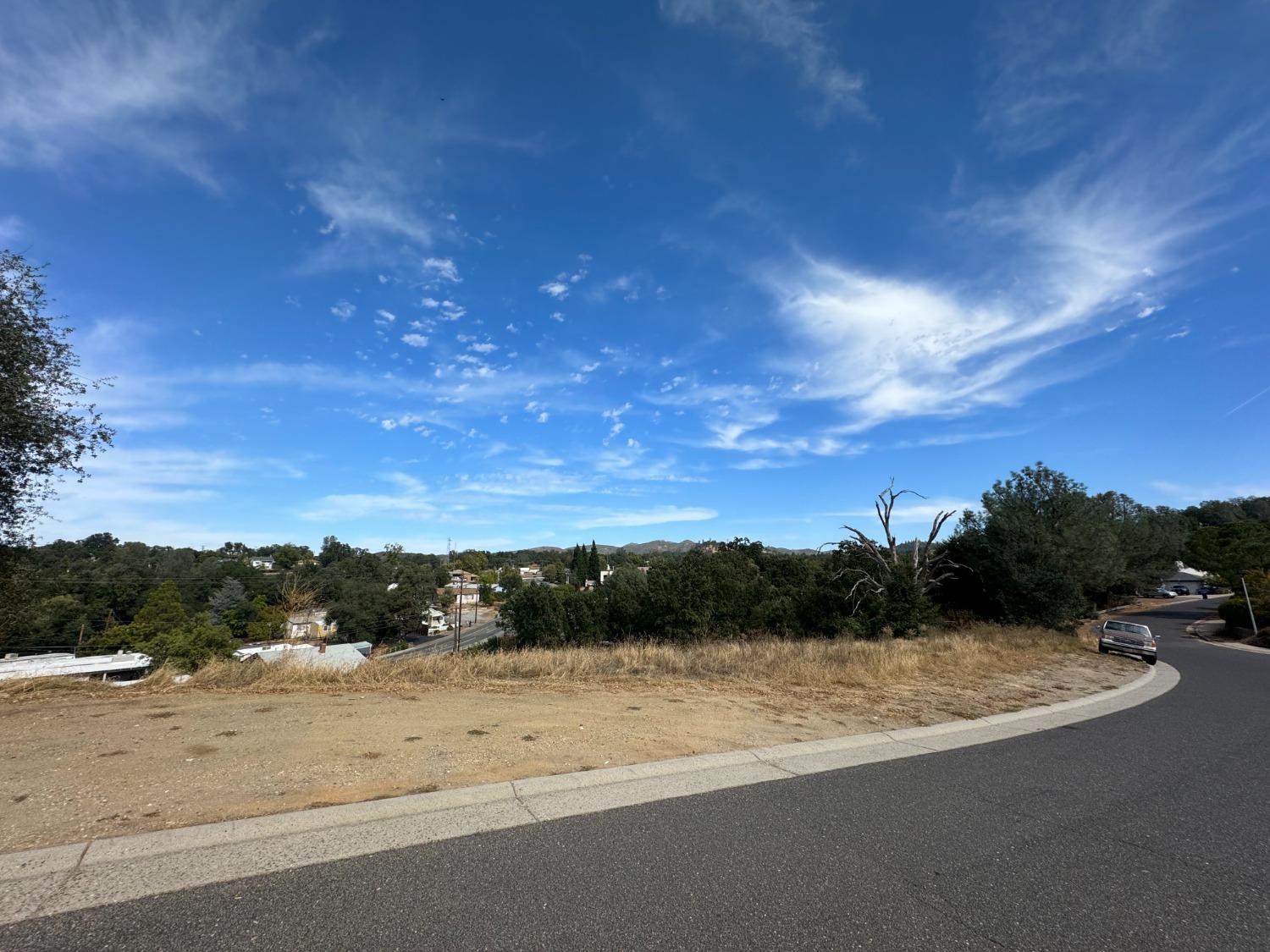 0 Toyon Drive, San Andreas, California 95249, ,Land,For Sale,Toyon,202303487