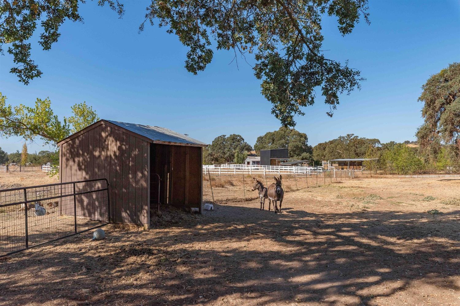 210 Melissa Way, Valley Springs, California 95252, 3 Bedrooms Bedrooms, ,2 BathroomsBathrooms,Residential,For Sale,Melissa,202303490