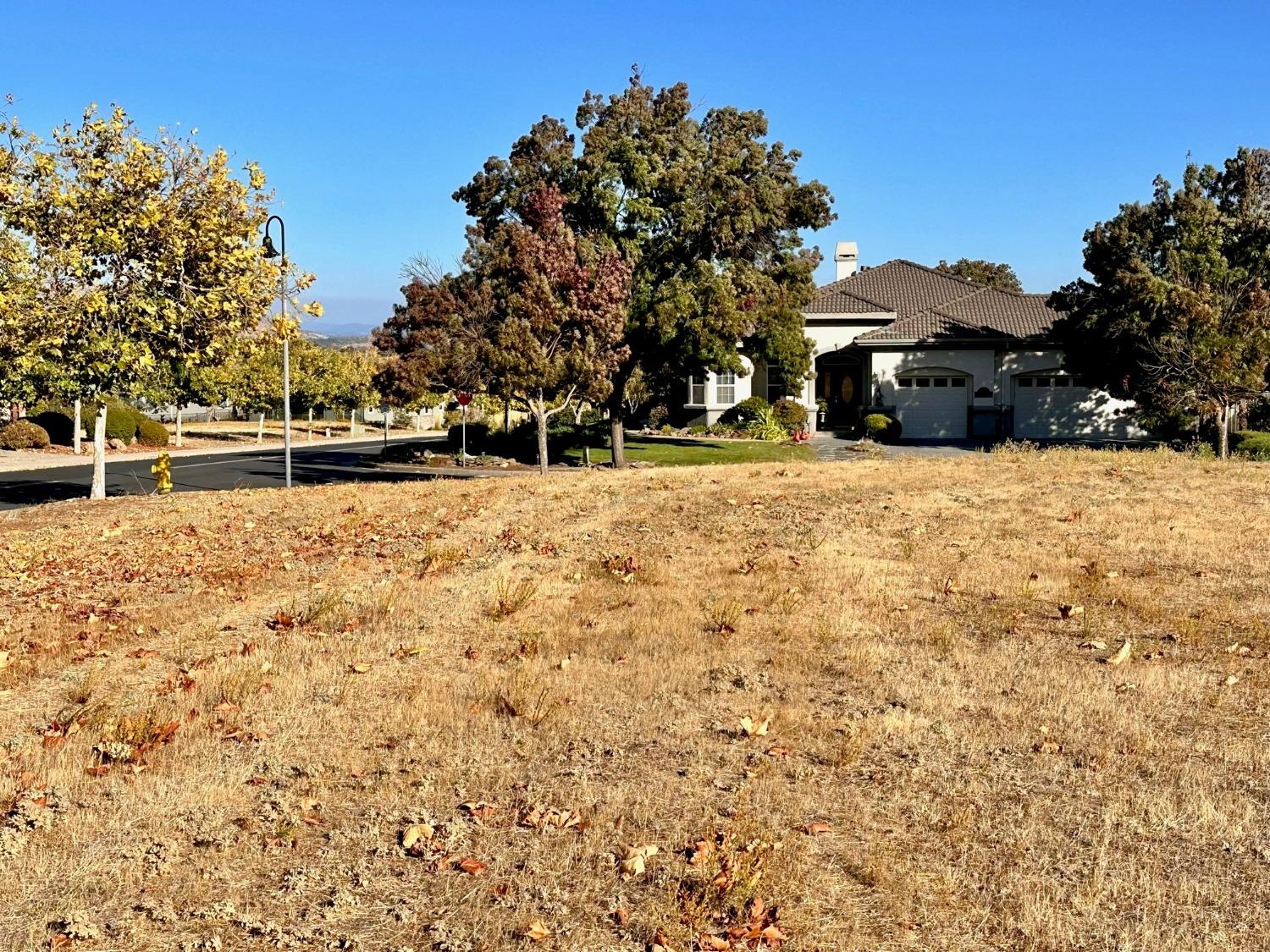 116 Greenstone Court, Copperopolis, California 95228, ,Land,For Sale,Greenstone,202303505