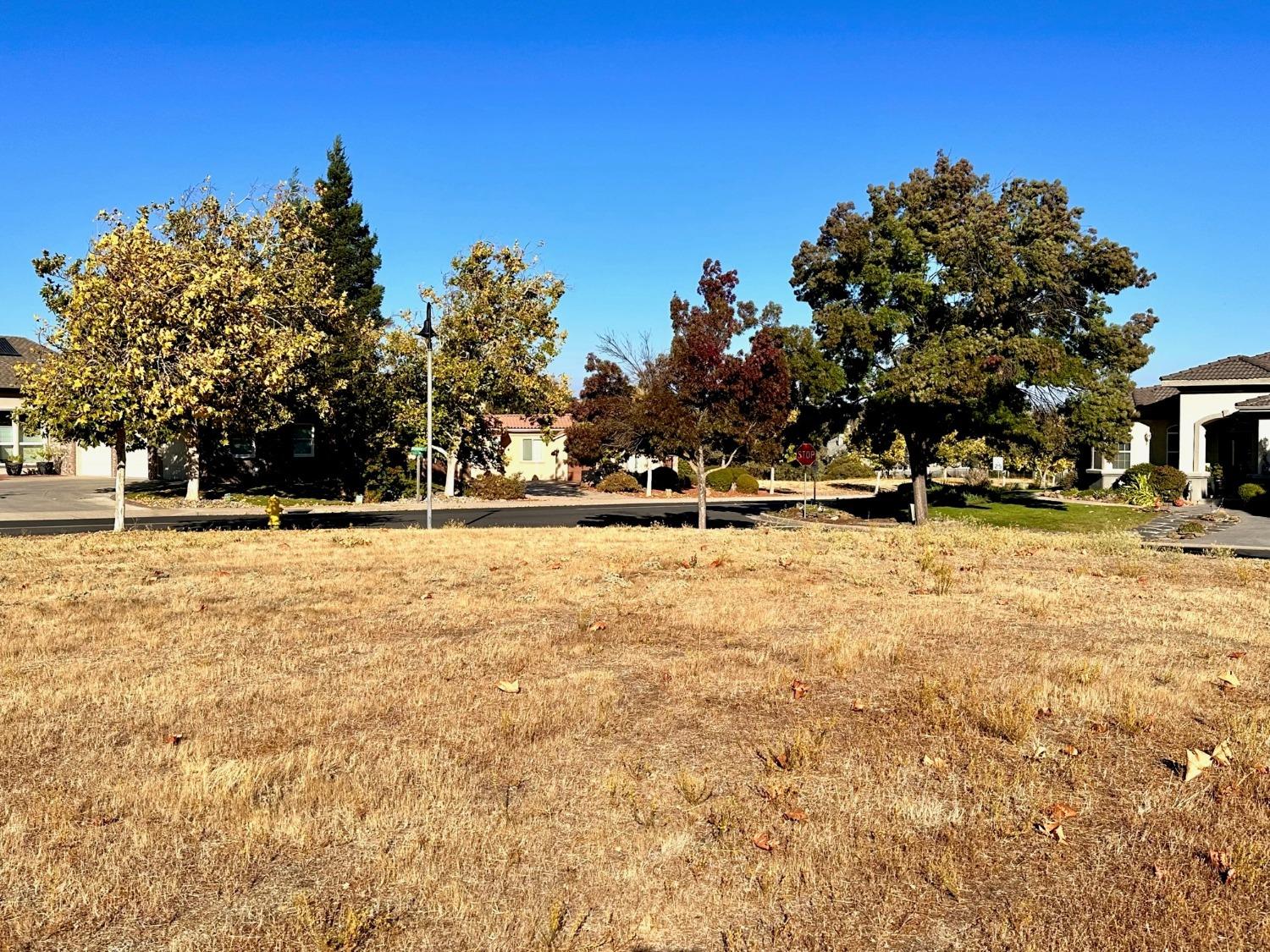 116 Greenstone Court, Copperopolis, California 95228, ,Land,For Sale,Greenstone,202303505