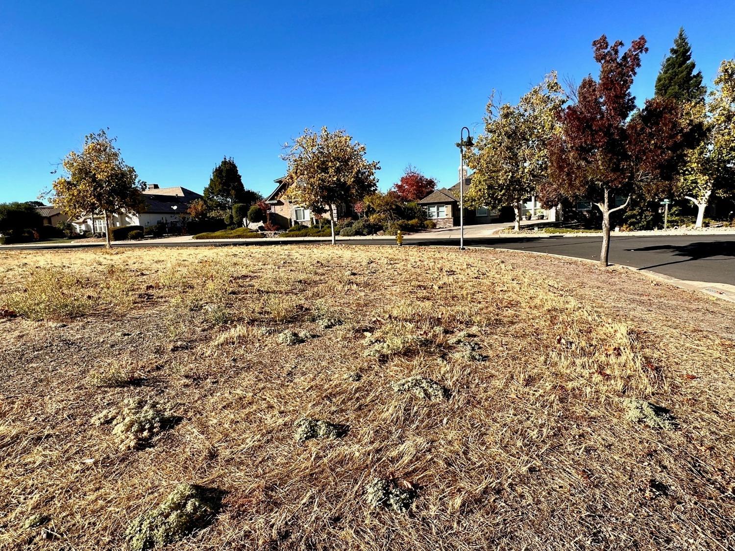 116 Greenstone Court, Copperopolis, California 95228, ,Land,For Sale,Greenstone,202303505