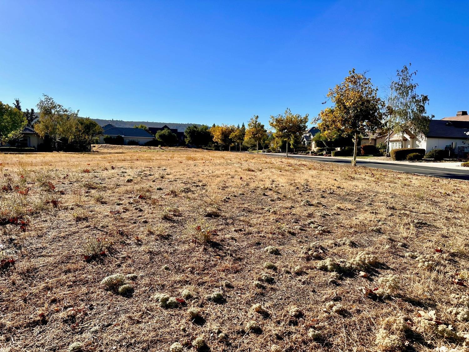 116 Greenstone Court, Copperopolis, California 95228, ,Land,For Sale,Greenstone,202303505