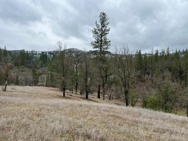 5252 Railroad Flat Road, Mountain Ranch, California 95246, ,Land,For Sale,Railroad Flat,2002135