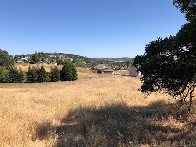 3228 Arrowhead Street, Copperopolis, California 95228, ,Land,For Sale,Arrowhead,2003622