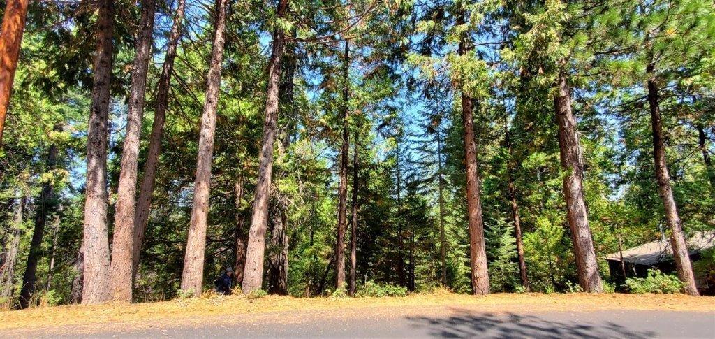 3161 Apache Road, Dorrington, California 95223, ,Land,For Sale,Apache,2004665