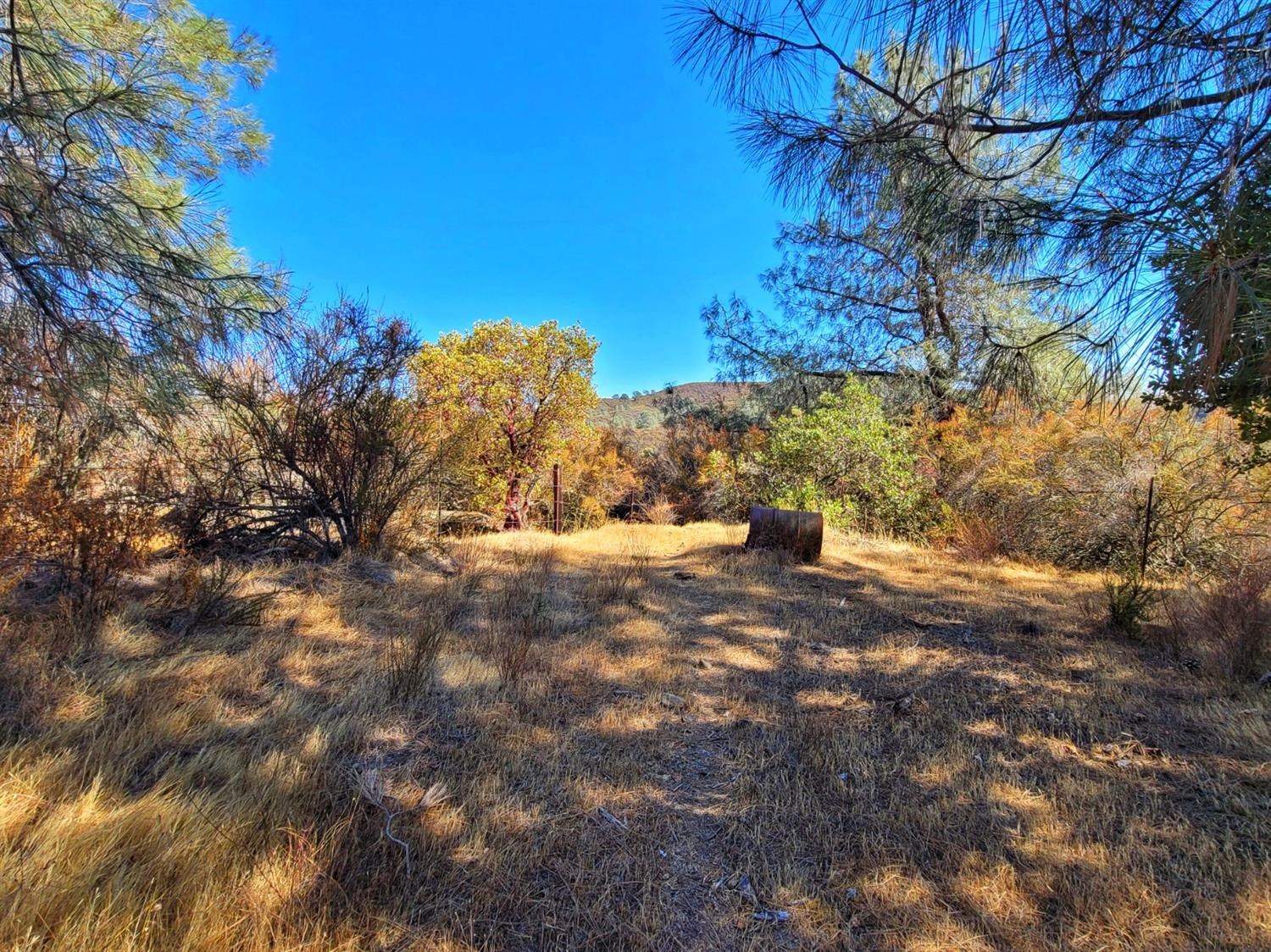 4235 Buckboard Lane, Campo Seco, California 95226, 2 Bedrooms Bedrooms, ,1 BathroomBathrooms,Residential,For Sale,Buckboard,2004815