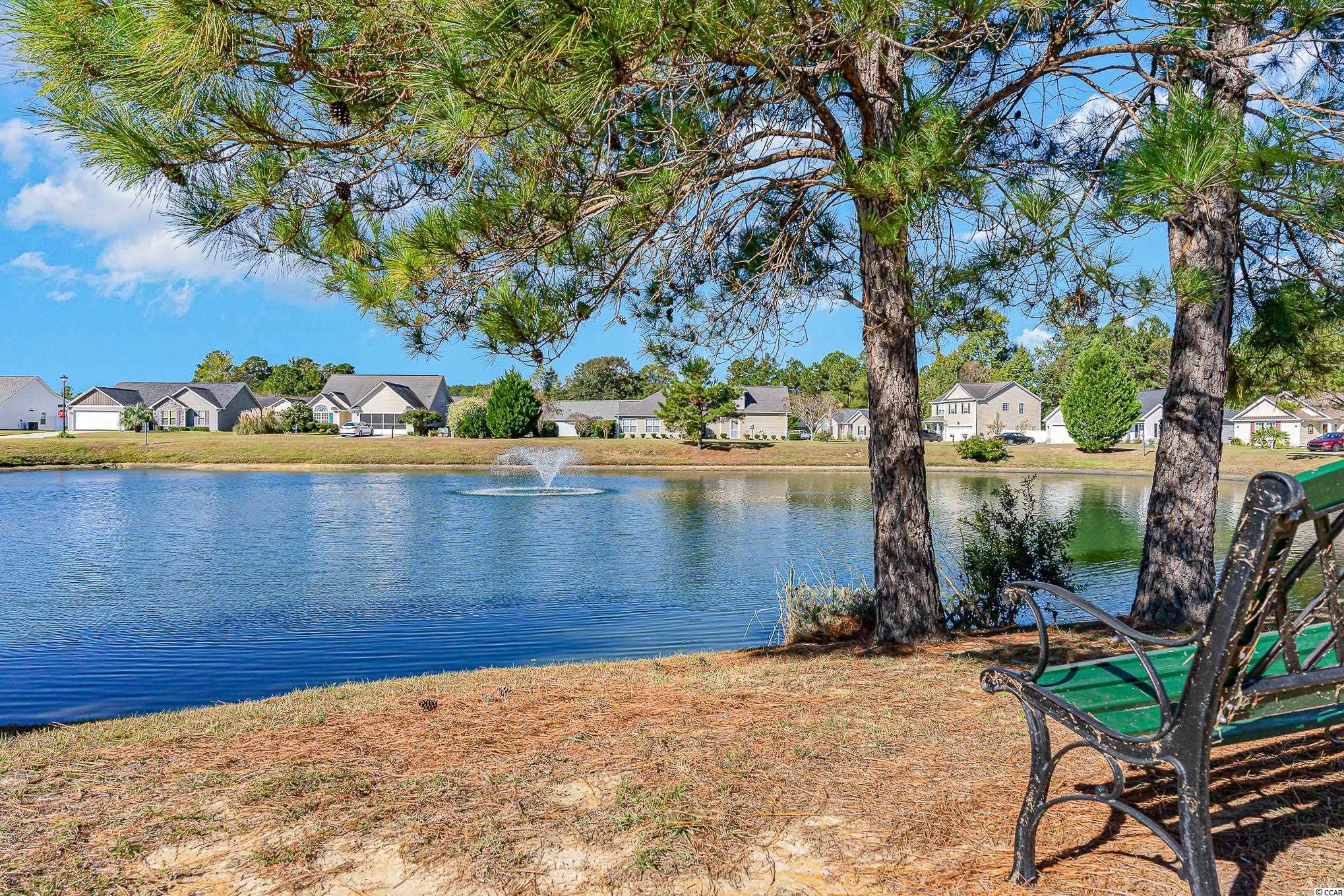 204 Balsa Dr.