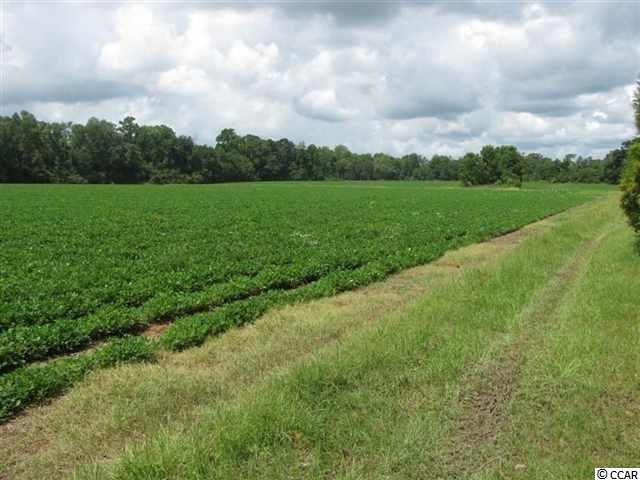 10 AC Pamplico Hwy. Pamplico, SC 29583