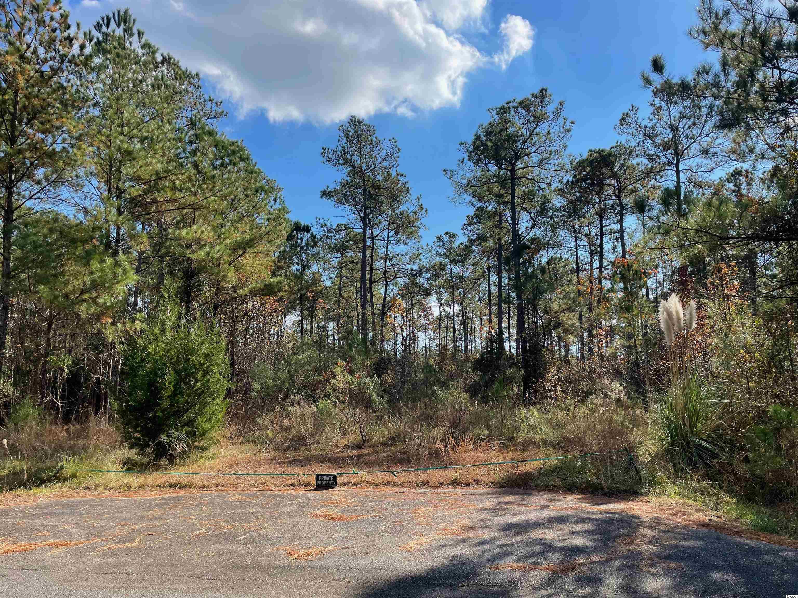 Lot 11 High Hill Dr. Little River, SC 29566