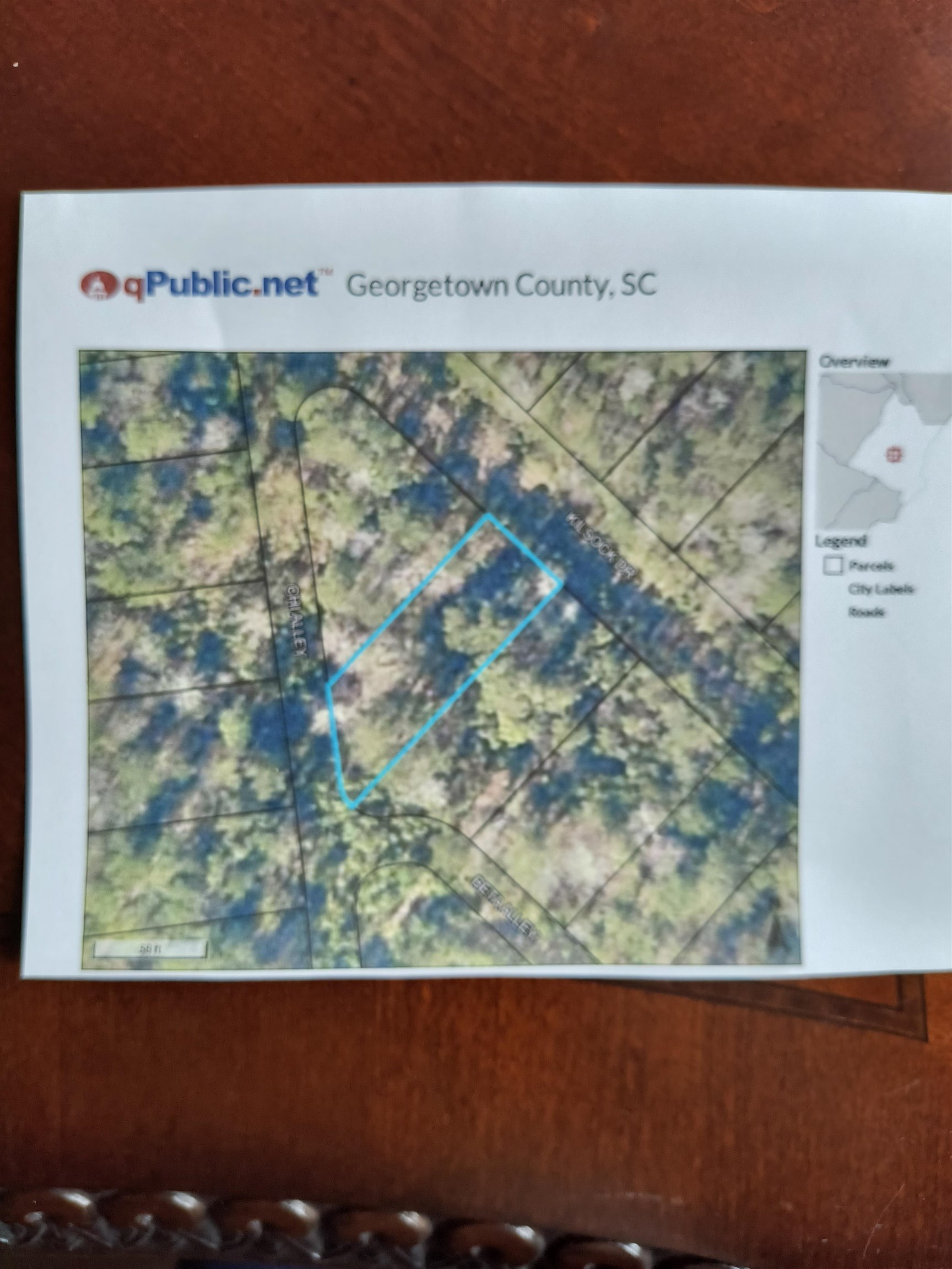 Lot 1050 Kilsock Dr., Georgetown, SC 29440