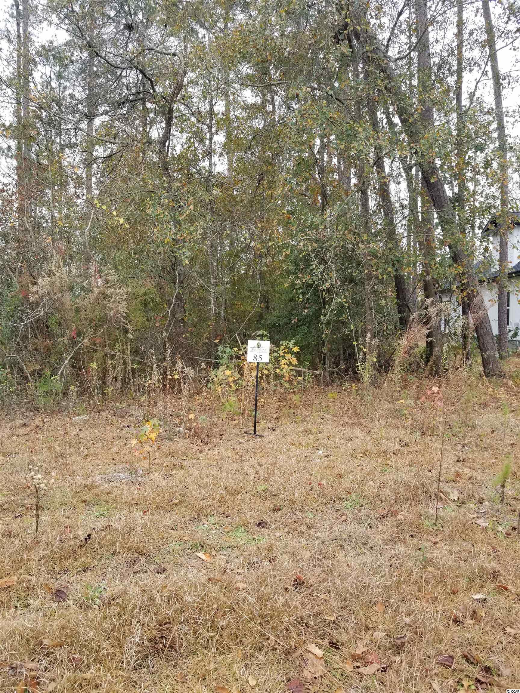 108 Rivers Edge Dr. Conway, SC 29526