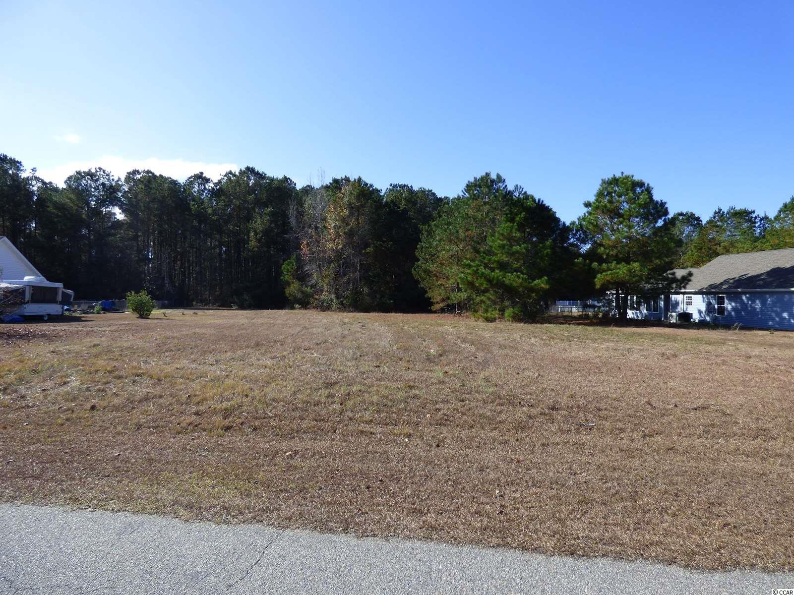 139 Cat Tail Bay Dr. Conway, SC 29527