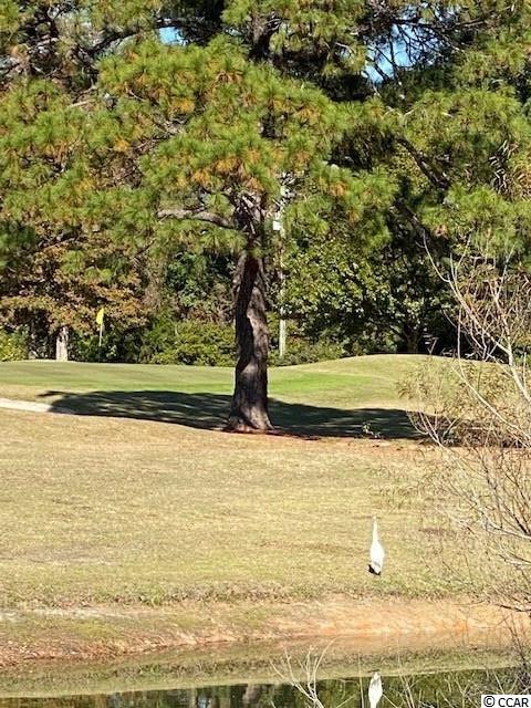 885 Palmetto Trail UNIT #201 Myrtle Beach, SC 29577