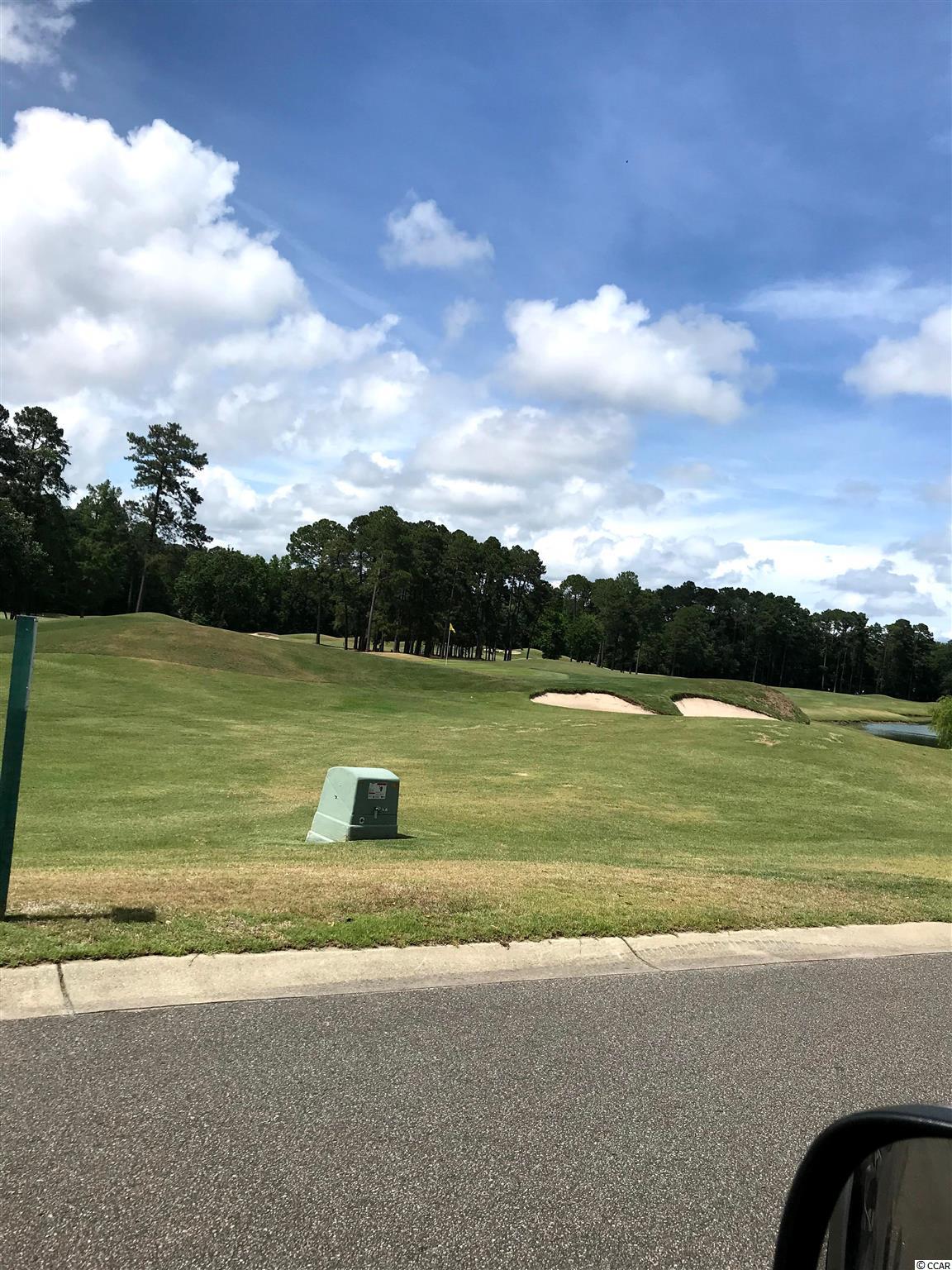 1828 Wood Stork Dr. Conway, SC 29526