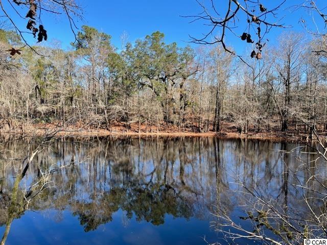 TBD Hidden River Rd. Longs, SC 29568